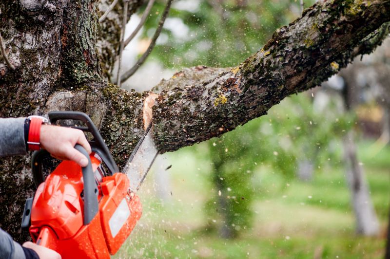Apple Tree Removal in Reno, NV
