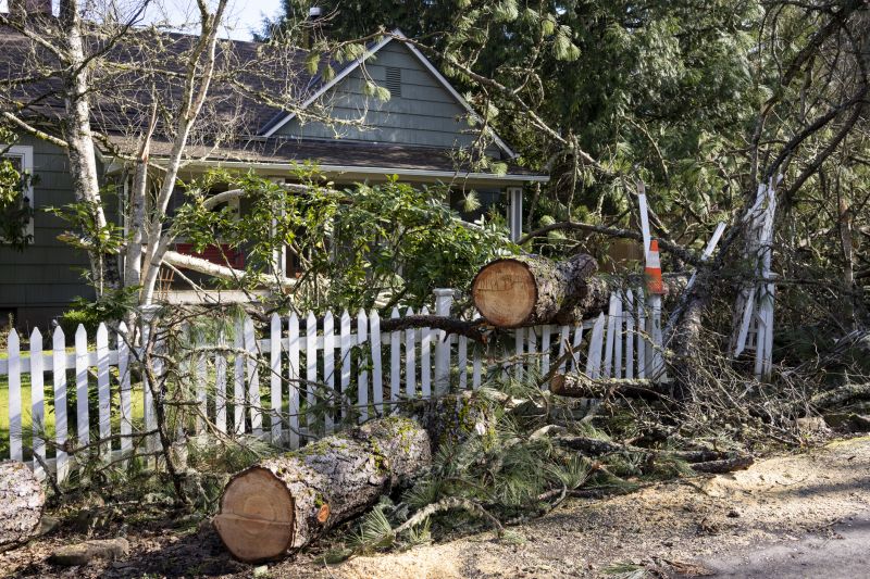 Apple Tree Removal in Doylestown, PA