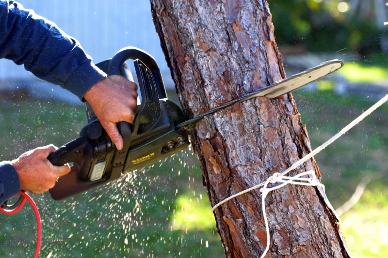 Dead Tree Removal in Montgomery County, PA