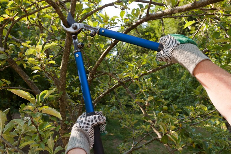 Hedge and Tree Pruning Specialists