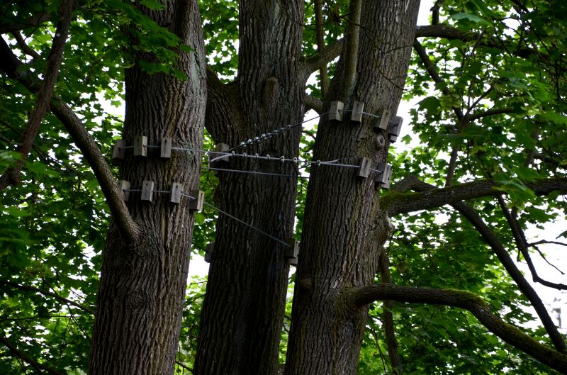 Cabling and Bracing